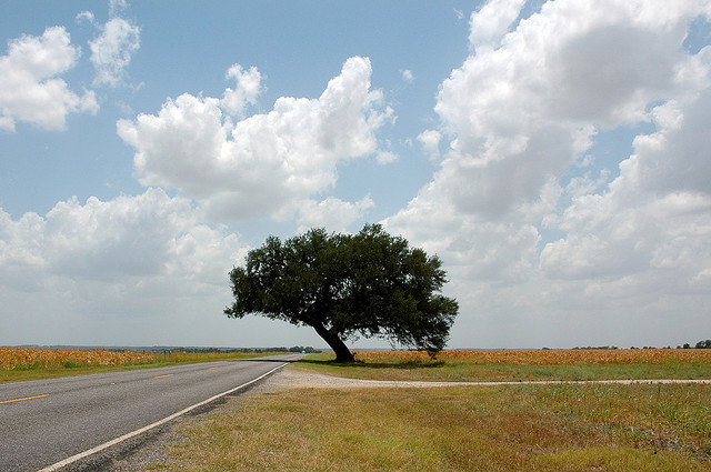 Big sky over Texas road