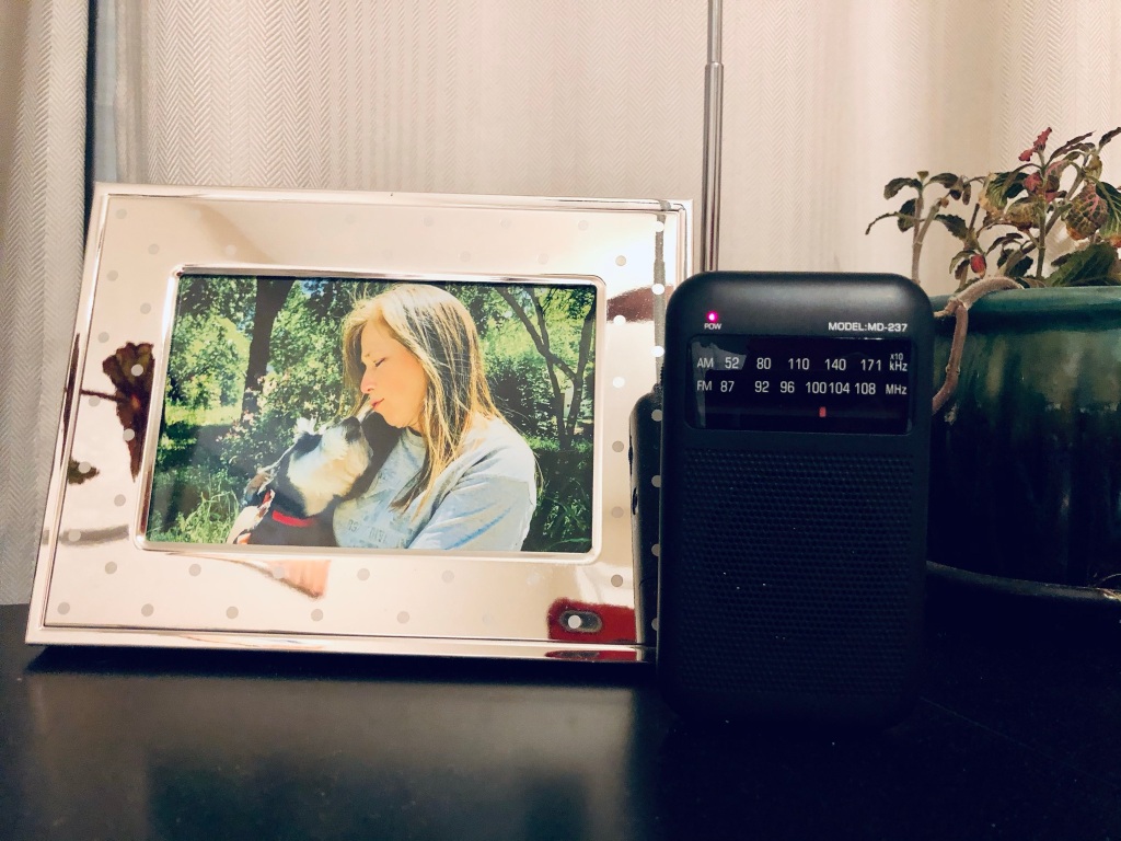 Transistor radio on desk by photo and plant. 